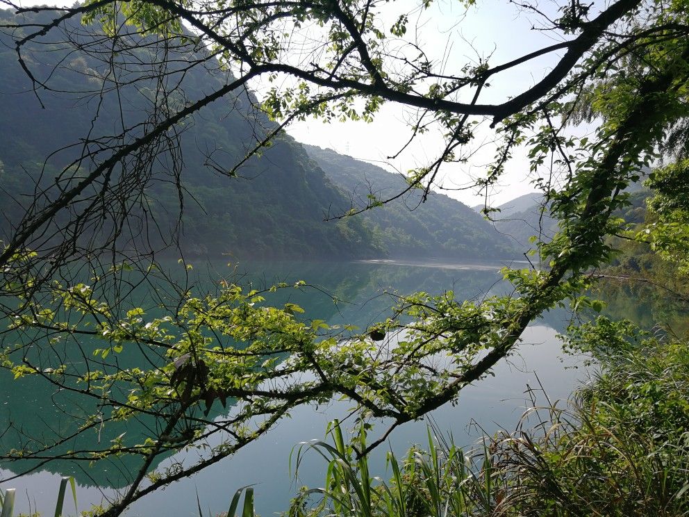 偶遇东江 偶遇东江 旅行的真正目的或许不是看山看水，只为遇见更好的自己。我和赵选择了一个近点的景点—