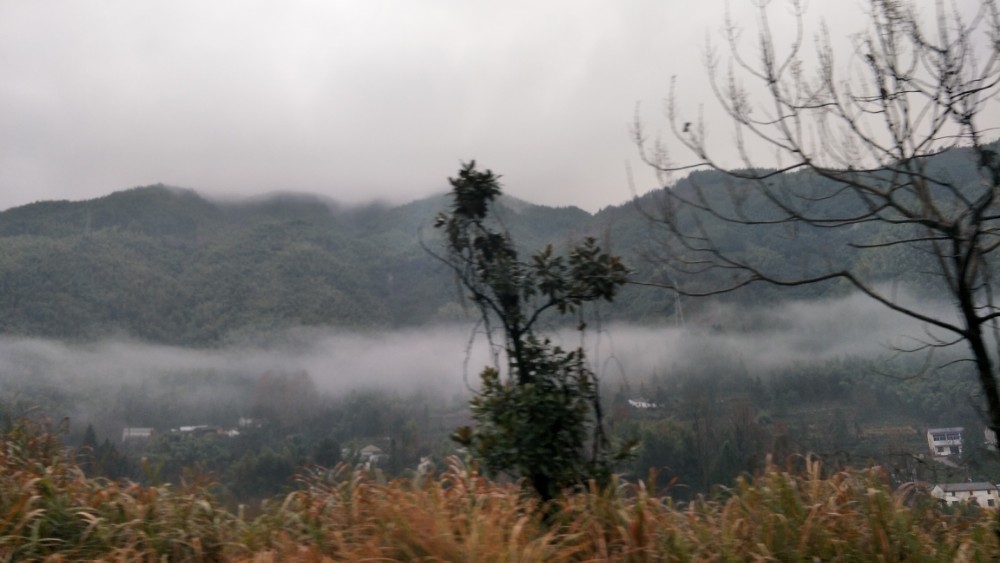 一路向南31：安徽九华山之天台景区，难得雾凇景象