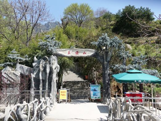 王顺山国家森林公园