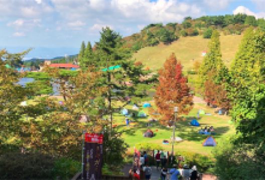 埼玉县旅游图片-草加+神户+奈良等多地5日游