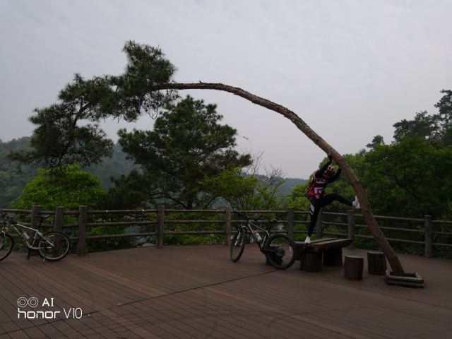 梅峰島