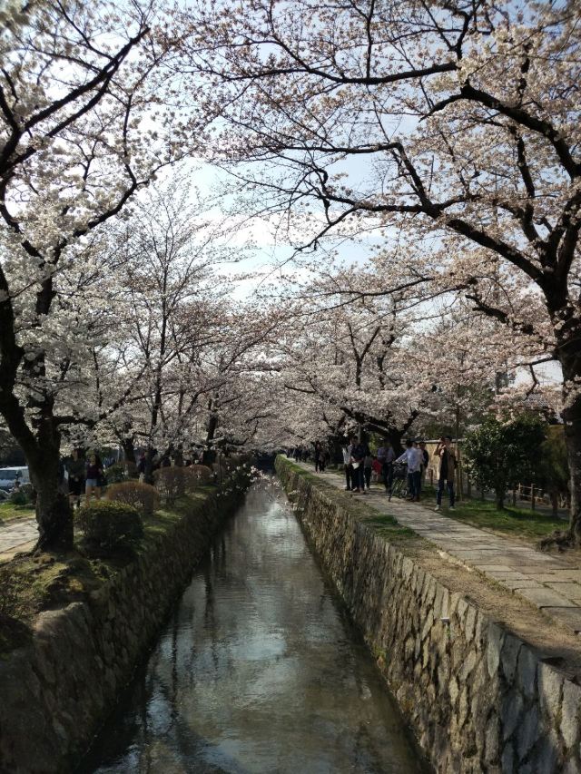 Philosopher's Walk