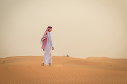 阿联酋游记图片] 确定过眼神，我遇上迪拜！