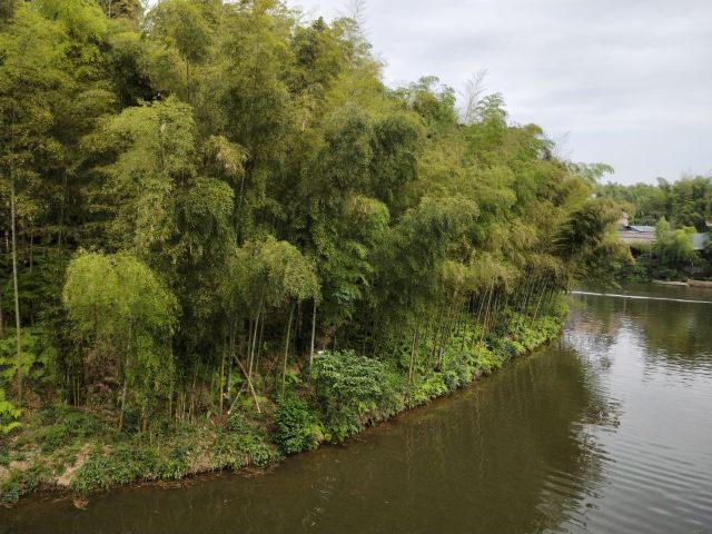 Shunan Zhuhai (“South Sichuan Bamboo Sea”) National Park
