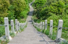 天童国家森林公园-宁波-doris圈圈