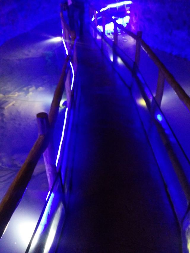 Tiangu·Natural Underground Gallery