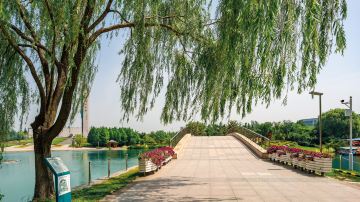 宿迁 雪枫公园 (10)