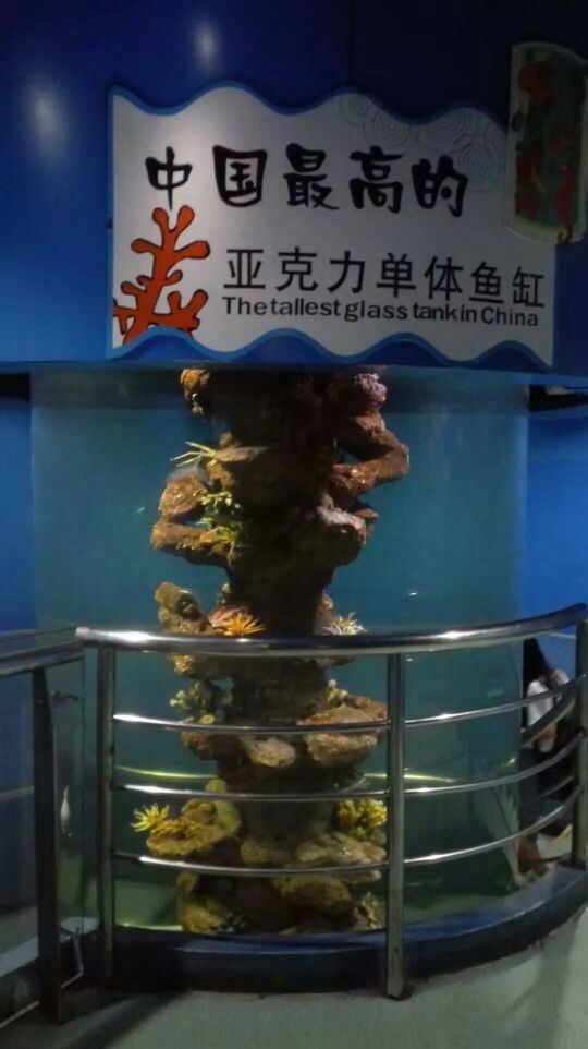Qujiang Polar Ocean Park