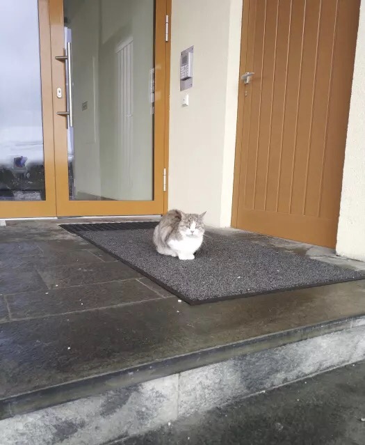 Kongress Stuberl餐厅图片