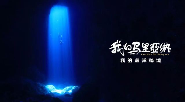 一路潛行,與魚共舞