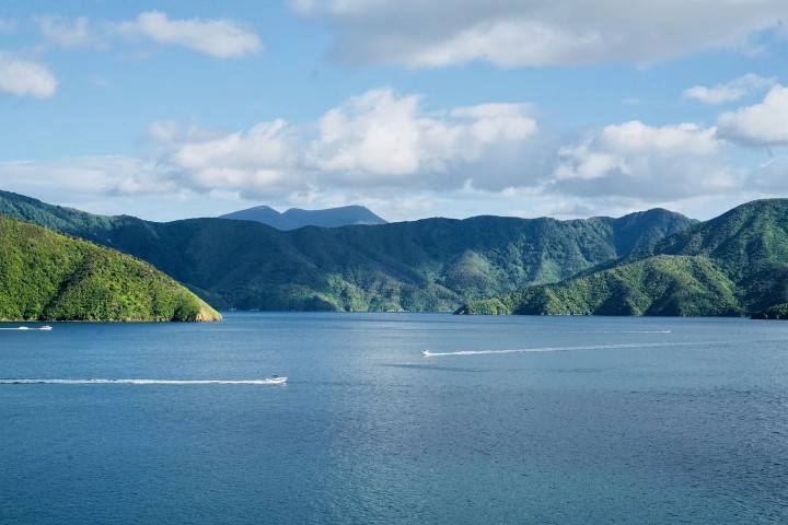 乘坐轮渡穿越库克海峡