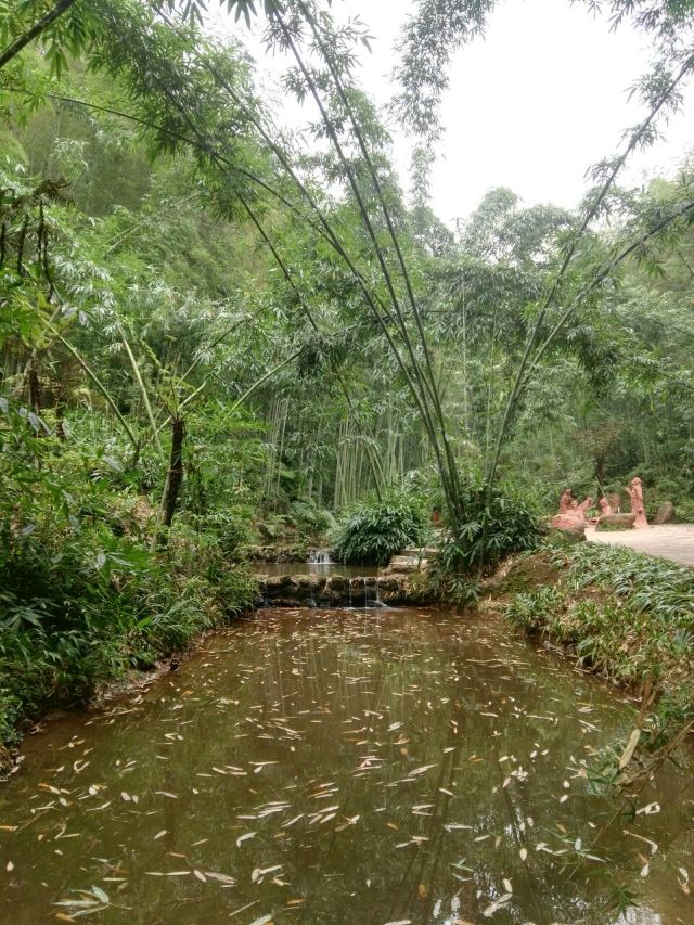 Shunan Zhuhai (“South Sichuan Bamboo Sea”) National Park