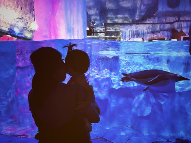 新華聯大白鯨海洋公園