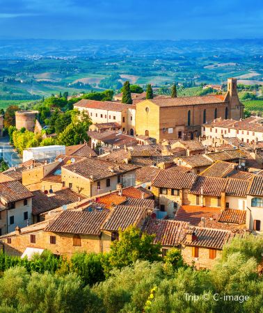 2D1N • Italy + Florence + Tuscany + Cantalici Winery + Siena Cathedral + Val d'Orcia: Medieval Tuscany & Chianti Wine Country