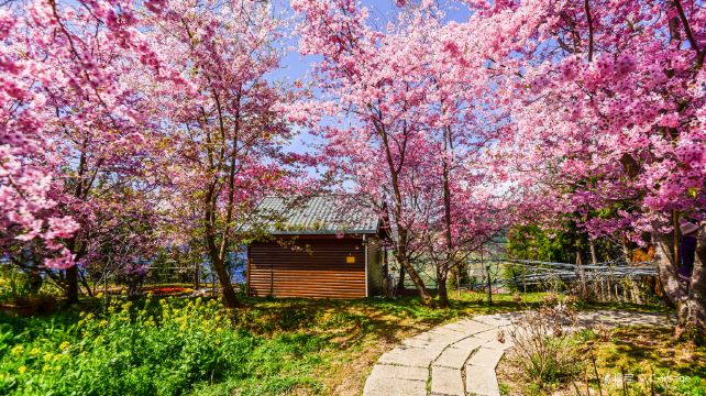 拉拉山国家森林游乐区