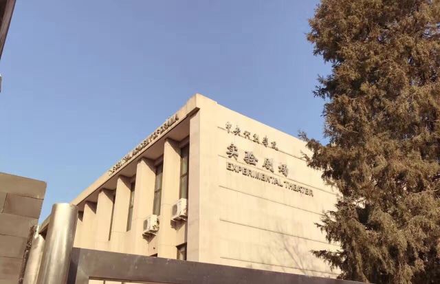 The Central Academy of Drama