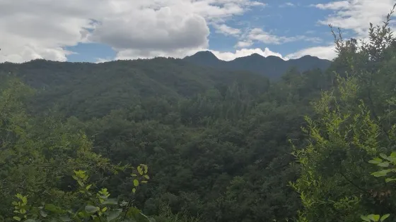 架桑漂流