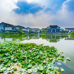 Zibo
