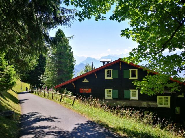 Mt. Rigi