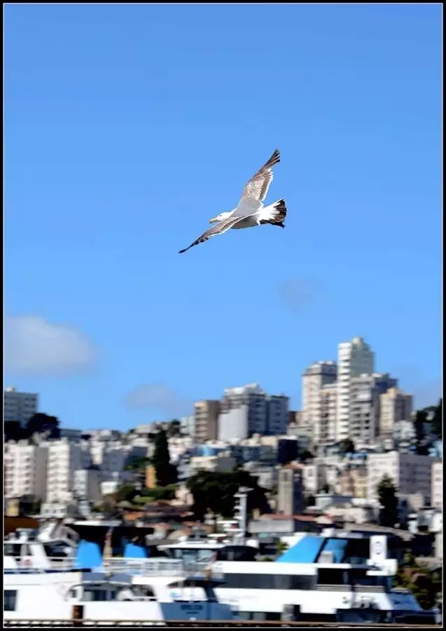 Fisherman's Wharf