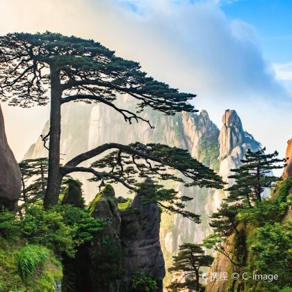 黄山风景区+宏村景区+西递+呈坎+徽州古城5日4晚私家团