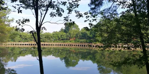 紫金公園