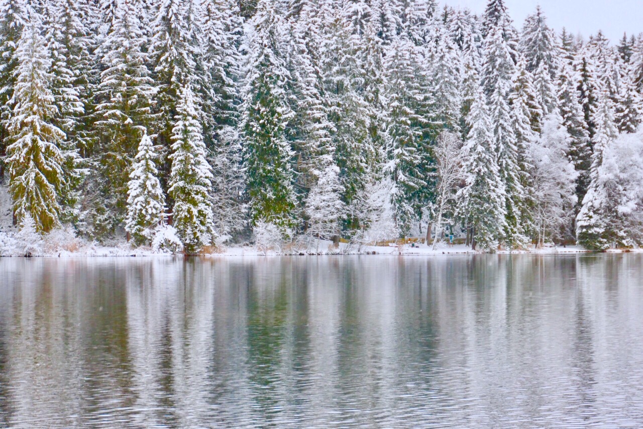 奥地利，施瓦茨湖的冬天