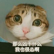 猗文张
