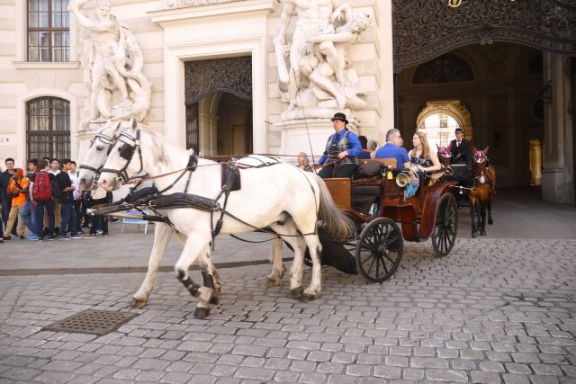 Hofburg Palace