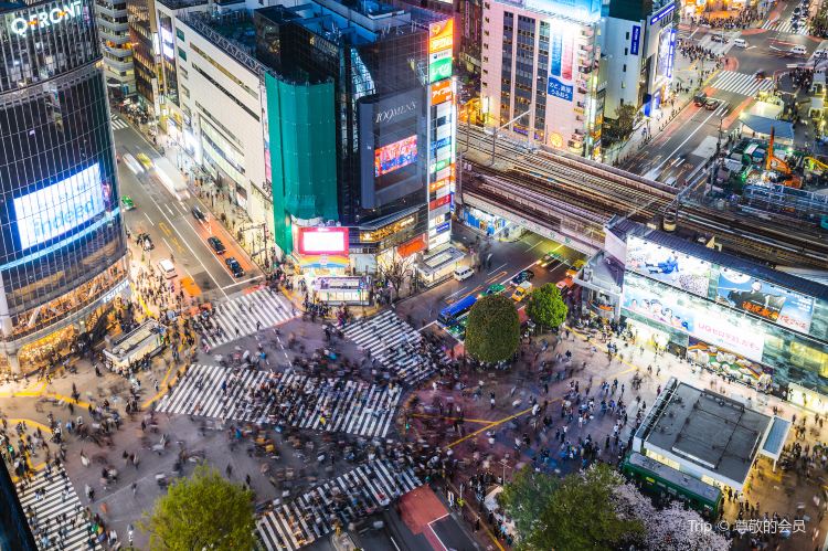東京