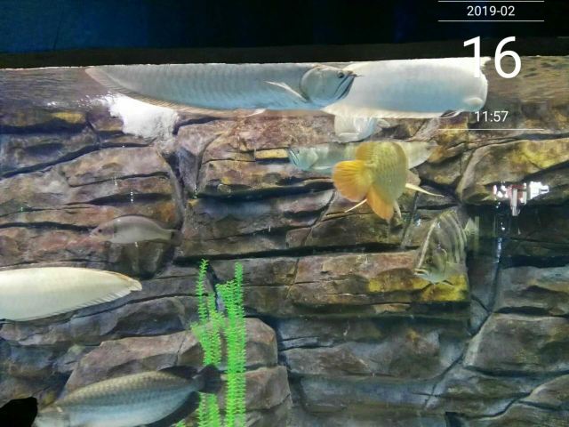 Kunming Huadu Ocean World