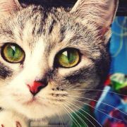 顏顏顏顏顏顏顏顏顏