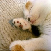 你我之间没有存在