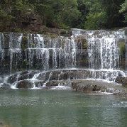 阿格尼丝的爷们儿