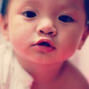 只喝牛奶的奶牛