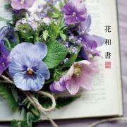 福如猪猪锦玖壹鲤二年