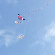 内心如此强大的我