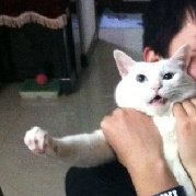 假文艺晚期患者