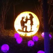 白羊座的我姓唐我心疼