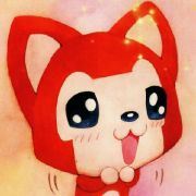 瓶子里的猫先生