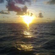 云散月明我点缀