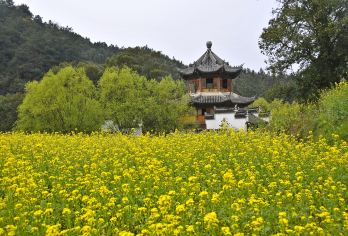 婺源出发｜李坑+汪口+江湾景区+晓起【游小桥流水人家】