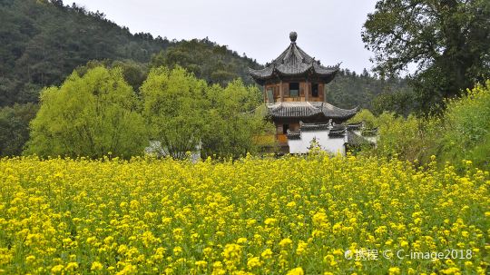 VCG21gic3016176