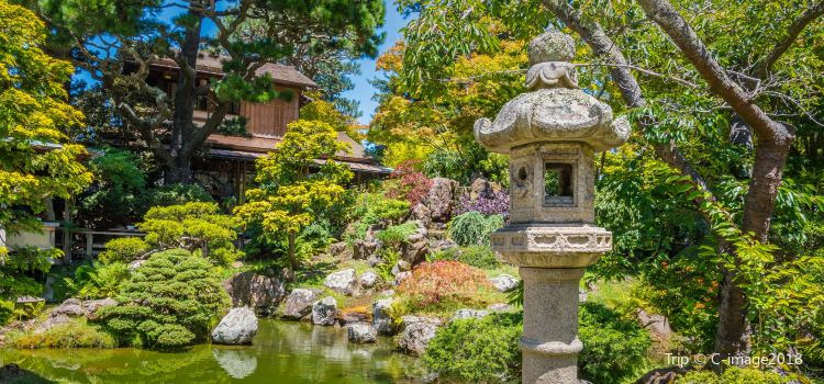 Golden Gate Park Travel Guidebook Must Visit Attractions In San