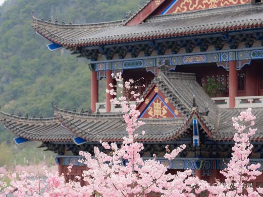 东华禅寺