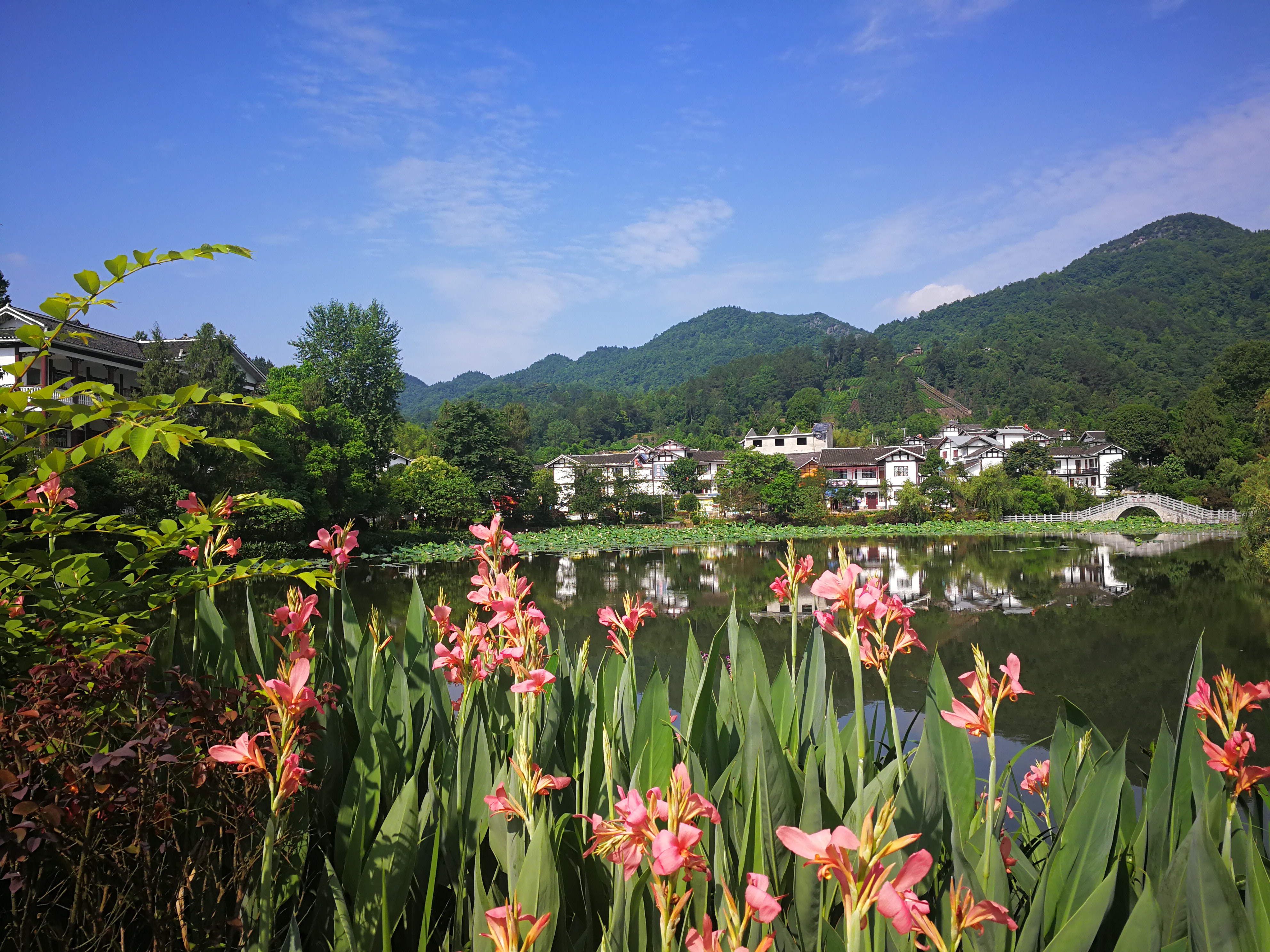贵州湄潭象山茶博公园