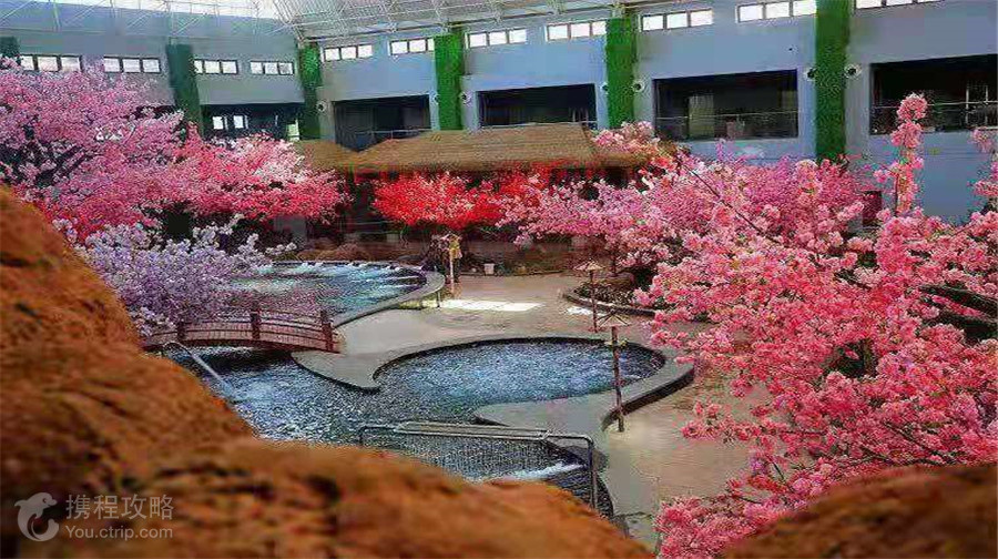女神宮湯泉城