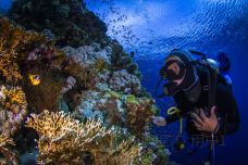 穆罕默德国家公园-Qesm Sharm Ash Sheikh-1