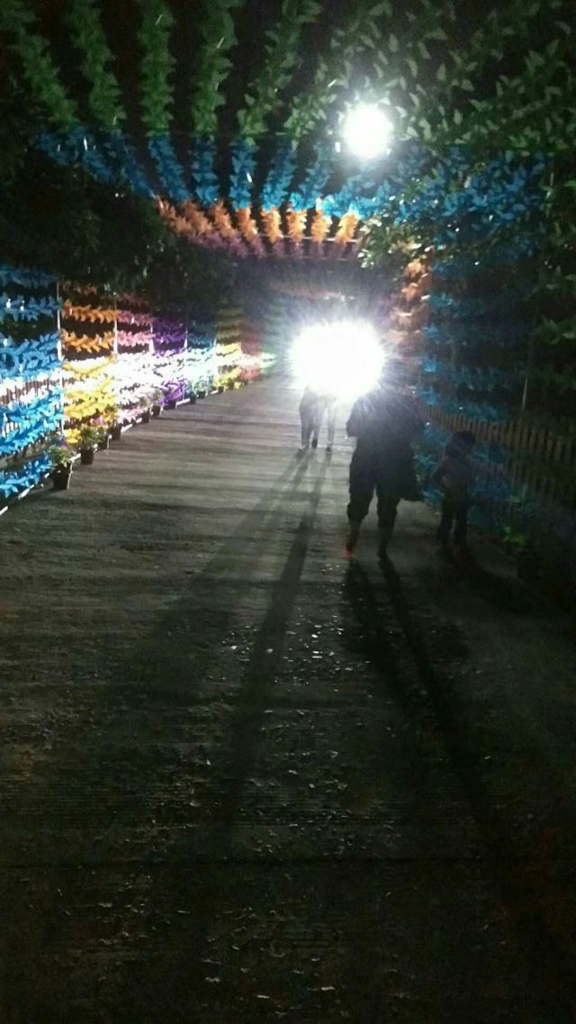 吹台山森林公园旅行图片 1