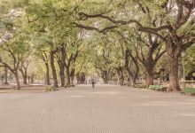 Plaza del Tango景点图片